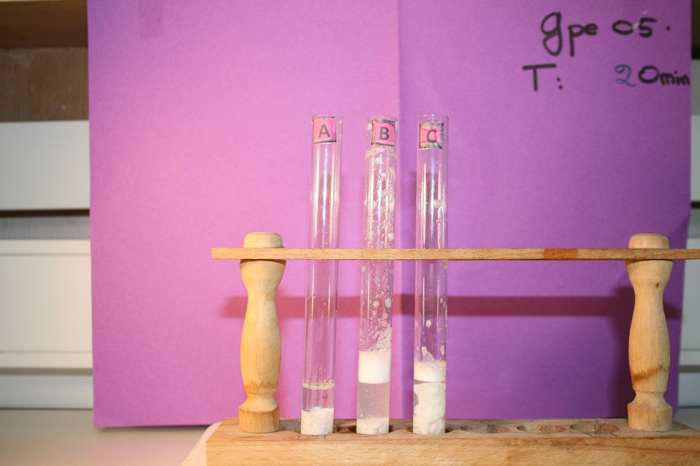 gal/LES_CINQUIEMES/ACTIVITE DIGESTION IN VITRO/Groupe_05/Groupe05_T_00h20min/Groupe05_T_00h_20min_8.JPG